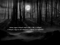 /album/fenykepgaleria/a2623653-dark-forest-jpg/