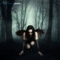 /album/fenykepgaleria/fallen-angel-by-midasdesign08-d4u8isb-jpg/